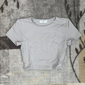 Babaton Light Gray Shortsleeve Crop Top